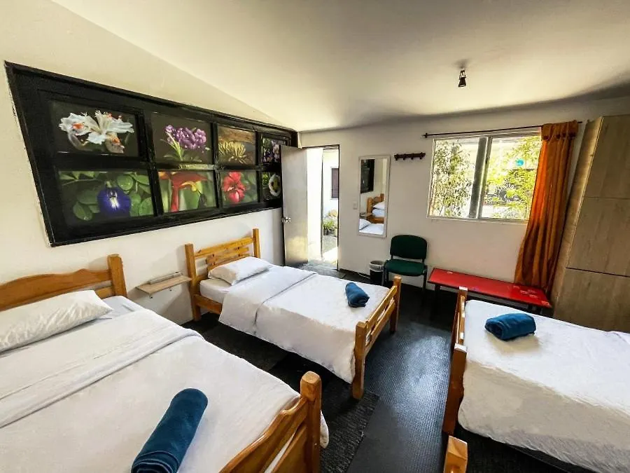 El Yarumo Hostel Bogotá